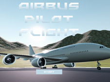 Airbus Pilot Flight