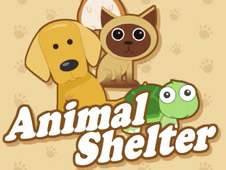 Animal Shelter