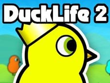 Duck Life 2: World Champion, Duck Life Wiki