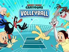 Looney Tunes Cartoons Volleyball Online