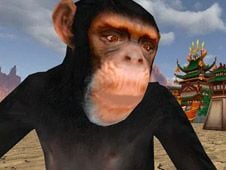 Monkey Fight Online