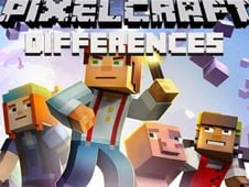 PIXELCRAFT DIFFERENCES