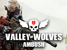 Valley of Wolves Ambush