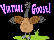 Virtual Goose