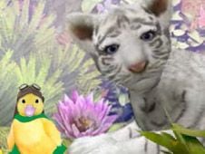 Wonder Pets Bengal Tigers Bash Online